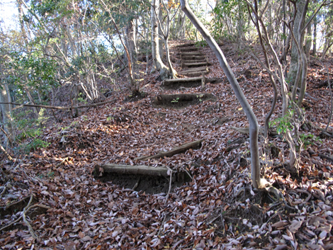 20181115hike (275)